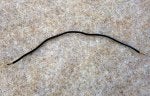 TPS_dealer_mode_wire.jpg